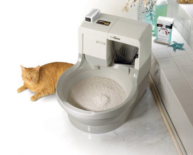 Виды кошачьих туалетов