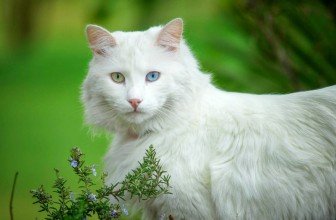 Пластическая хирургия Пластиковые окна в Ярославле цены, купить окна