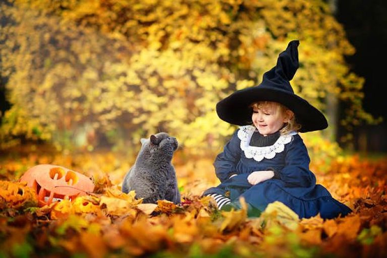 Очаровательная эстетика