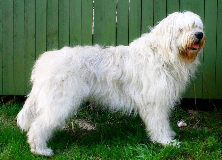 Силуэты смелости