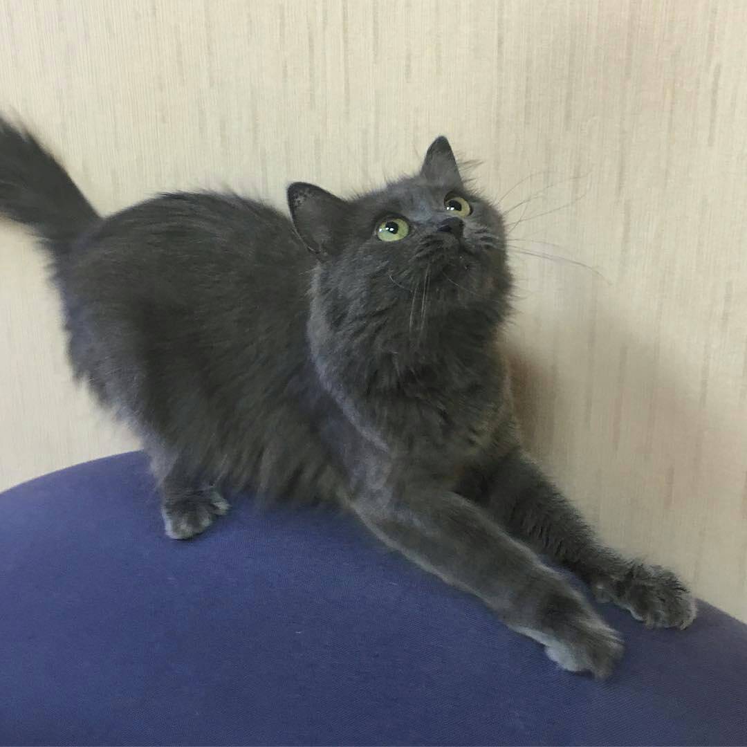 Хорошие манеры