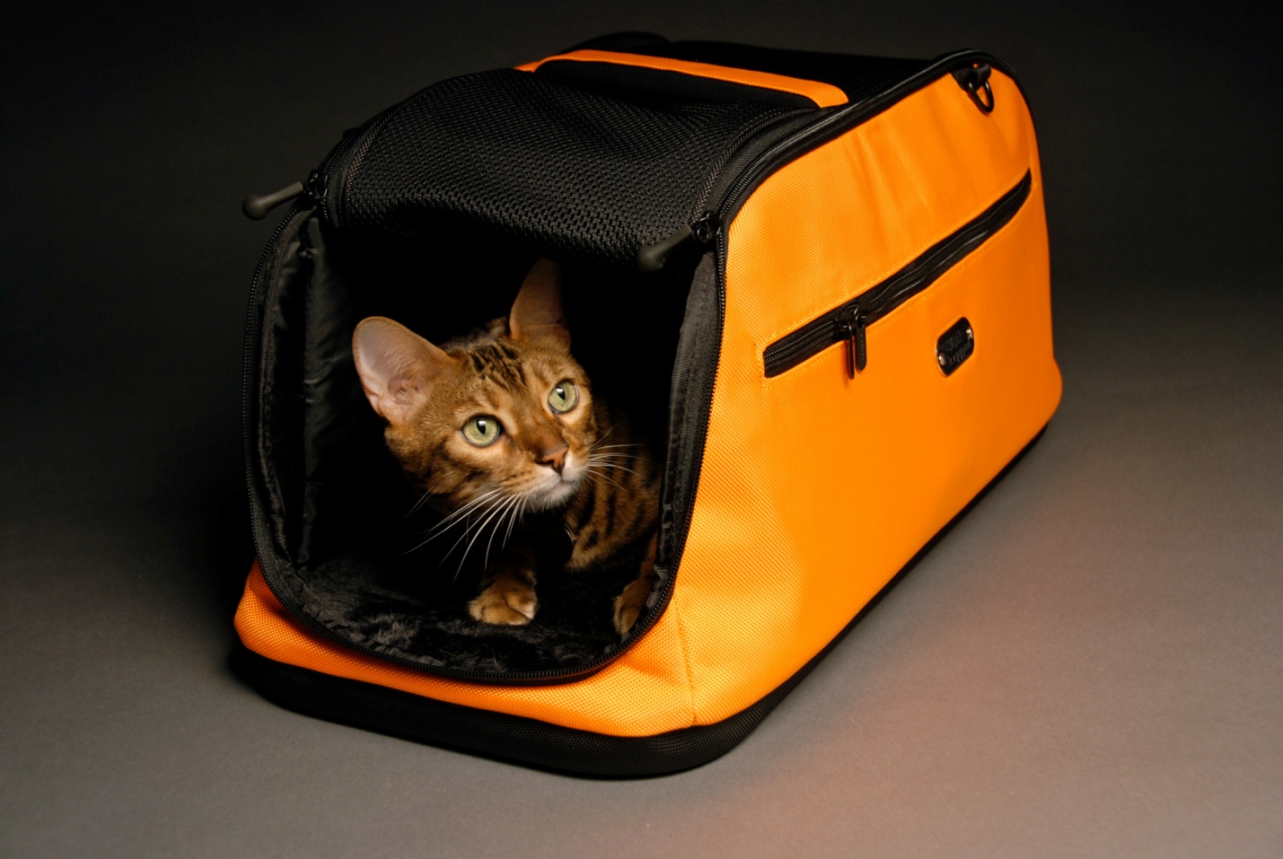 Sleepypod Air in-Cabin Pet Carrier сумка