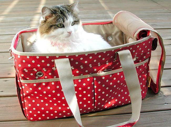 Сумка-переноска для кошек: Комфортное путешествие для питомца