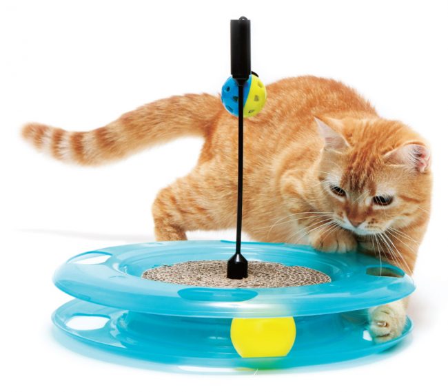 как сделать простые игрушки для кошек екатеринбург