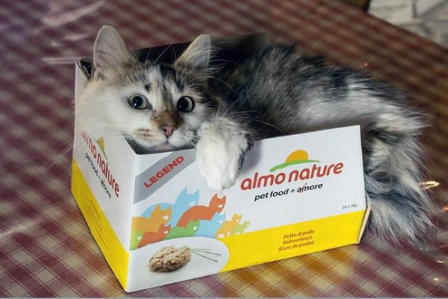 Almo Nature для кошек