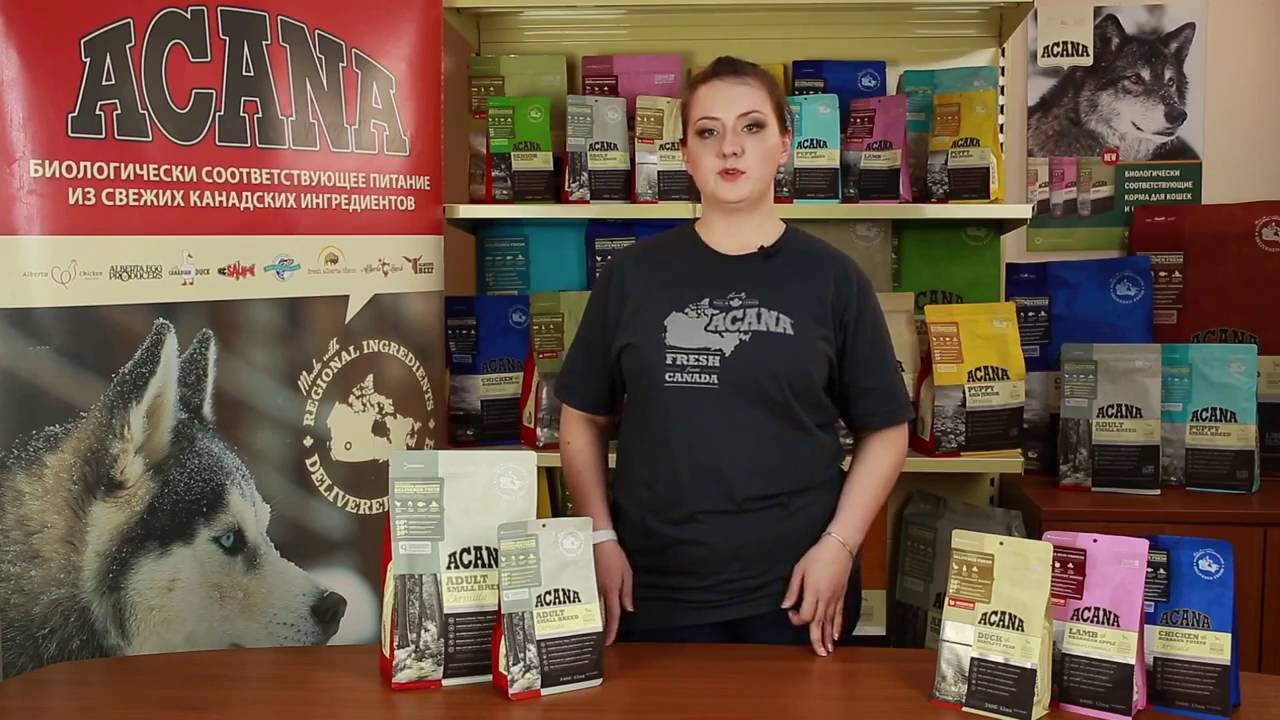 Состав и качество корма