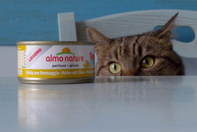 Almo Nature для кошек