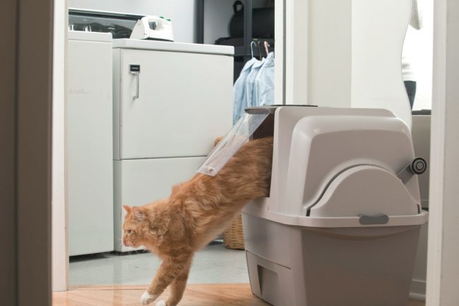 Автоматический туалет для кошек