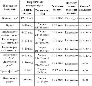 График прививок собаки