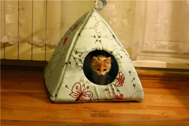 Одноэтажный домик для кошки