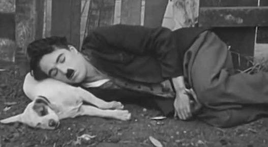 Чарли Чаплин с собакой в фильме «Собачья жизнь»