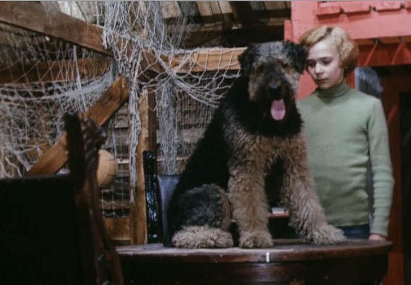 Знаменитые эрдельтерьеры: герои, персонажи книг и фильмов, питомцы знаменитостей