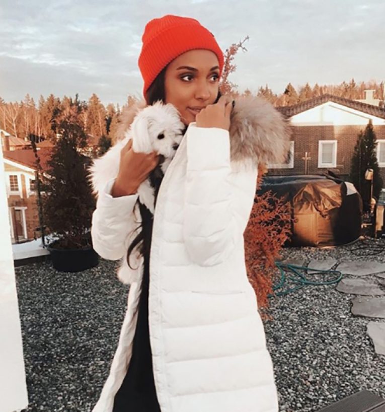 Французский бульдог