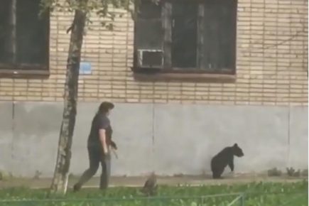 Медвежонок Арчи и дрессировщица