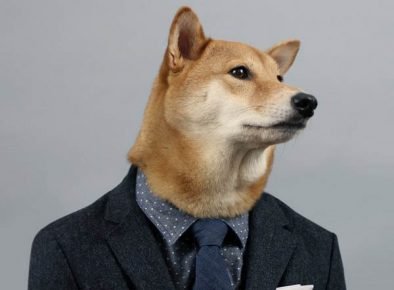 Собака в деловом костюме