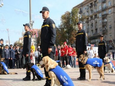 Почётная церемония сопровождения на пенсию