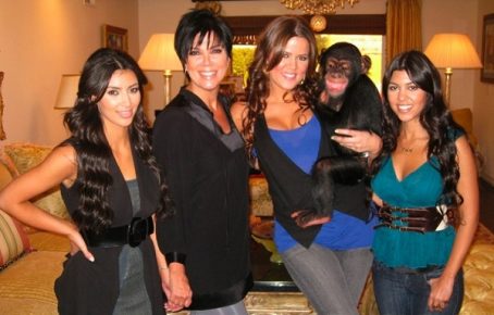 Семейство Кардашян и шимпанзе
