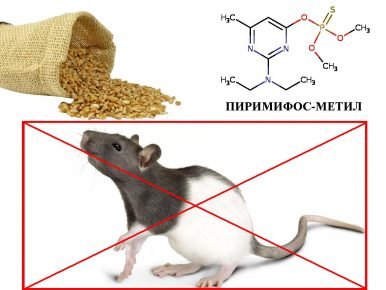 Пиримифос-метил и крыса