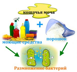 Чем нельзя чистить ковры