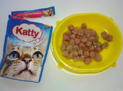 Можно ли кормить кошку только влажным кормом для котят thumbnail