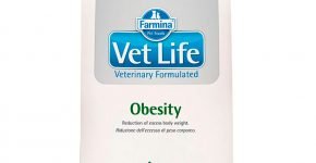 FARMINA Vet Life Obesity