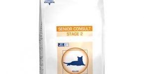 Senior Consult Stage 2