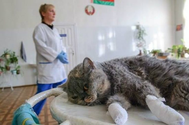 Медицинские последствия