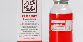 Гамавит для кошек