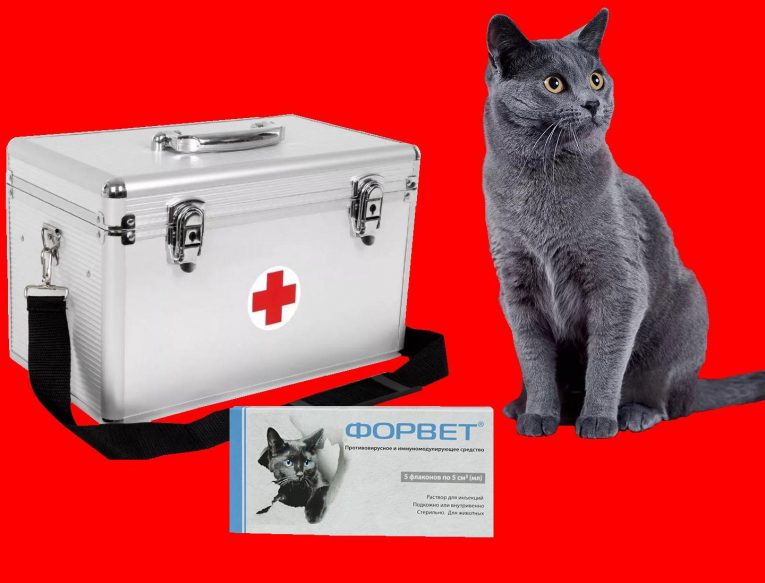 Форвет для кошек