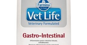 Farmina Vet Life Gastro-Intestinal