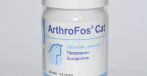 Dolfos ArthroFos Cat