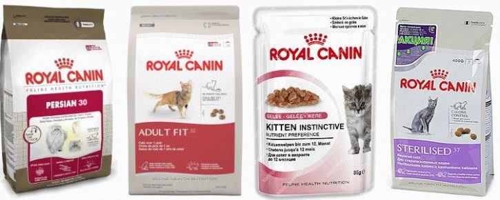 Royal Canin