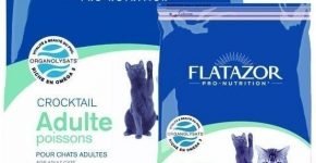 Flatazor Crocktail Adulte Poissons