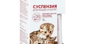 Суспензия для кошек и котят Празител