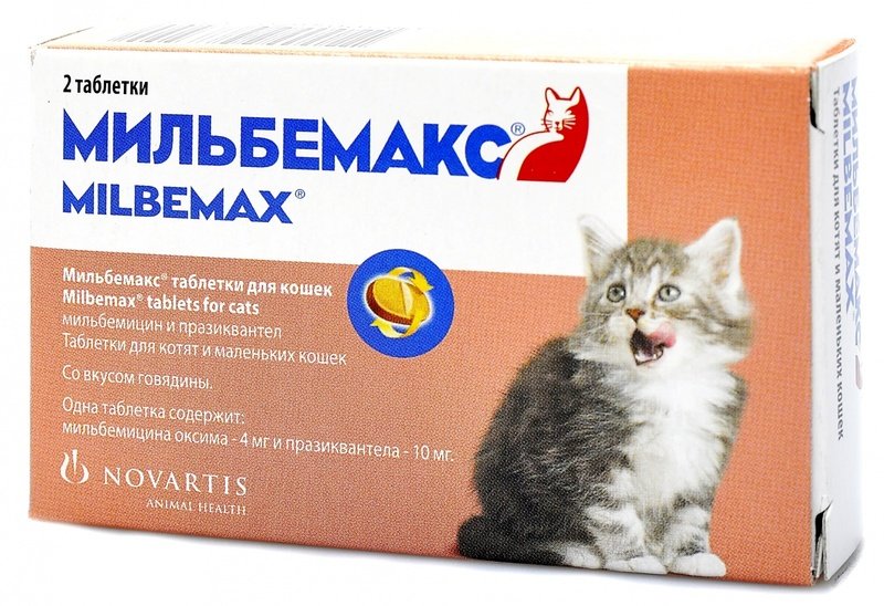 Лучшие аналоги препарата Мильбемакс для кота