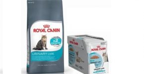 Royal Canin Urinary Care