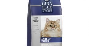 Gina Elite Cat Sensitive