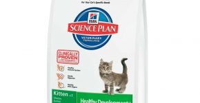 Hill’s Science Plan Kitten