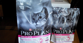 Две упаковки корма Purina Pro Plan стоят на столе