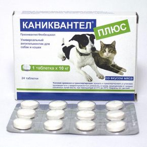 Каниквантел Плюс