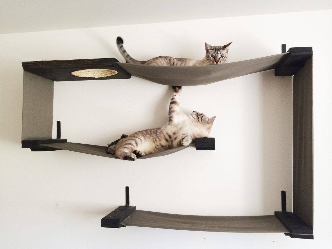 полочки для котов на стене