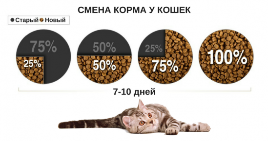 Сухой корм для кошек при ожирении thumbnail
