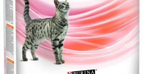 Pro Plan Veterinary Diets Feline OM Obesity