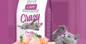 Корм Brit Crazy для котят