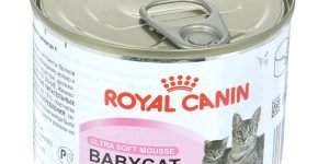 Royal Canin мусс