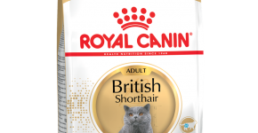 Royal Canin British Shorthair Adult