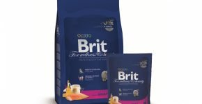 Корм для кошек Brit Adult