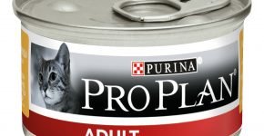 Влажный корм для взрослых кошек ProPlan