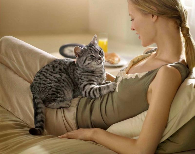 Кошачий язык или как понять кошку. Как разговаривают коты: звуковое общение и значение кошачьего поведения Как понять котов и кошек