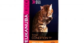 Eukanuba Adult with Chicken